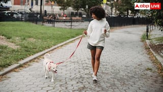 क्या टहलने से भी कम हो सकता है यूरिक एसिड, जानें 10 मिनट की वॉक से कितनी दिक्कत होती है दूर?