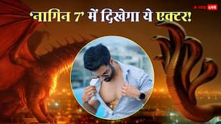'नागिन 7' में इस एक्टर की एंट्री पक्की! एकता कपूर के शो में निभाएंगे ये रोल