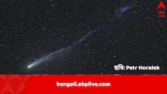 একধাক্কায় লেজ কাটা গেল ধূমকেতুর, খান খান হয়ে গেল নিমেষে, মহাকাশে সূর্যের রোষানলে Lemmon