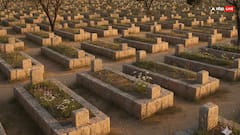 कब्र पर फूल या अगरबत्ती जलाना क्यों है गुनाह के बराबर, जानें इस्लाम में इसके पीछे की वजह!