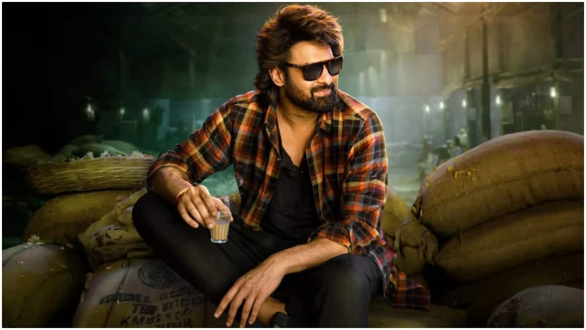 Prabhas Birthday Special : ప్రభాస్ బర్త్​ డే స్పెషల్.. రెబల్ స్టార్ కెరీర్​లో టాప్ 10 స్క్రీన్ లుక్స్ ఇవే, కటౌట్ చూస్తే మతి పోవాల్సిందే