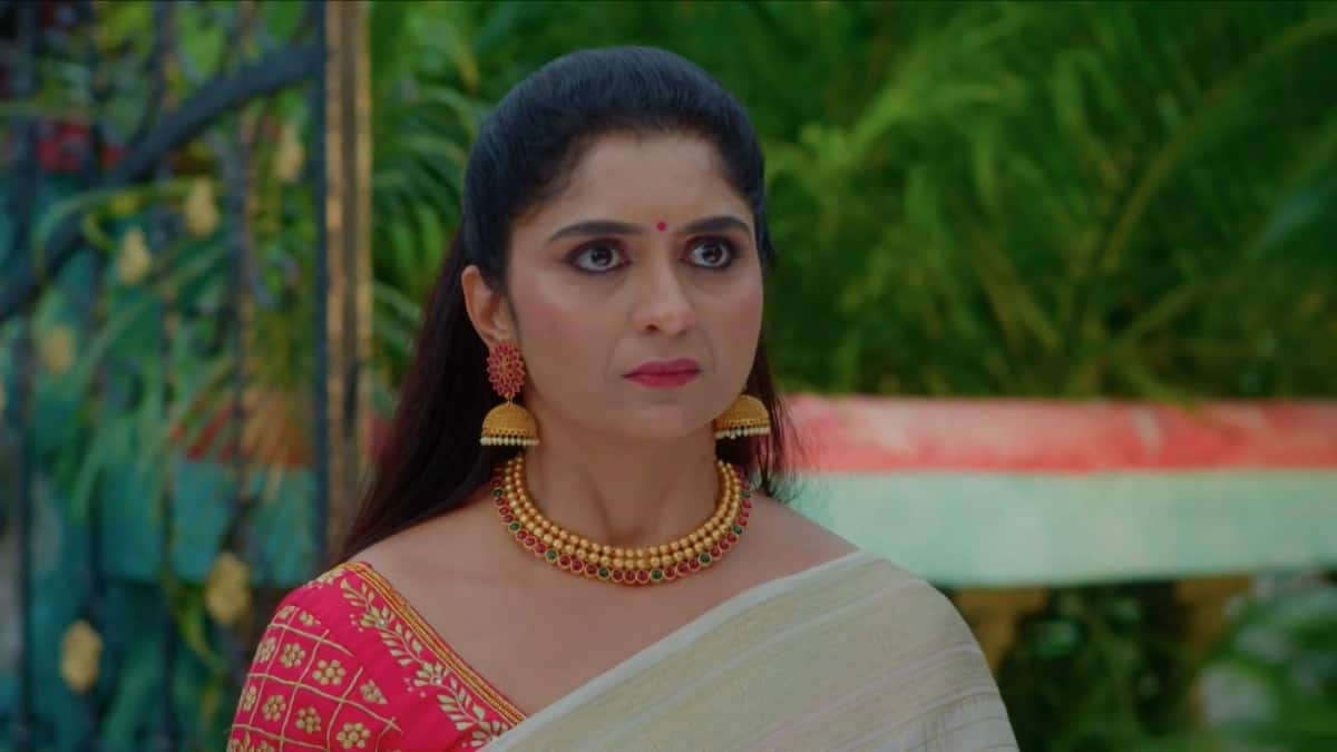 Chinni Serial Today October 24th: చిన్ని సీరియల్: మ్యాడీ-మధు ప్రేమలో కొత్త మలుపు! ఇంటికొచ్చి మధుని తిట్టిన నాగవల్లి!