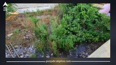 Punjab News: ਖਾਲੀ ਪਲਾਟਾਂ ਦੇ ਮਾਲਕਾਂ ਲਈ ਖਤਰੇ ਦੀ ਘੰਟੀ! ਨਵੇਂ ਆਰਡਰ ਜਾਰੀ...ਹੁਕਮਾਂ ਦੀ ਅਣਦੇਖੀ ਕਰਨ 'ਤੇ ਹੋਏਗੀ ਸਖਤ ਕਾਰਵਾਈ