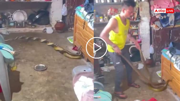 Video: घर के अंदर आपस में लिपटे दिखे दो सांप, शख्स ने खिलौने की तरह पकड़ लिए, वीडियो वायरल Video: घर के अंदर आपस में लिपटे दिखे दो सांप, शख्स ने खिलौने की तरह पकड़ लिए, वीडियो वायरल