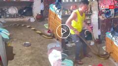 Video: घर के अंदर आपस में लिपटे दिखे दो सांप, शख्स ने खिलौने की तरह पकड़ लिए, वीडियो वायरल