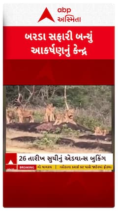 BARDA Wildlife Sanctuary: પોરબંદરનું બરડા સફારી પ્રવાસીઓ માટે બન્યું આકર્ષણનું કેન્દ્ર