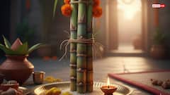 Chhath Puja 2025: गन्ने के बिना अधूरी है छठ पूजा, जानें इसके पीछे का रहस्य