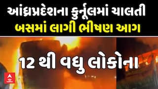 Kurnool Highway Tragedy: હૈદરાબાદ-બેંગ્લુરુ હાઈવે પર અકસ્માત બાદ બસમાં લાગી ભીષણ આગ