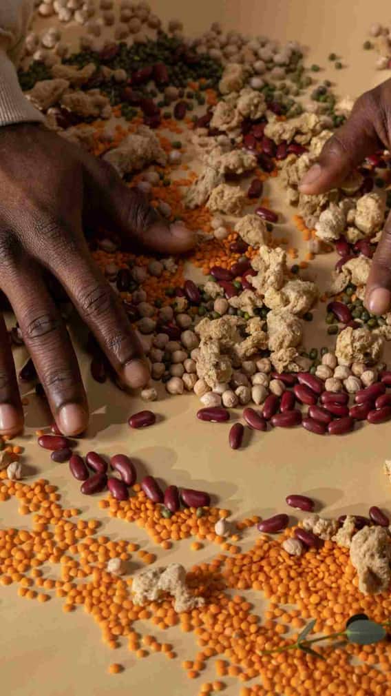 जुन्या प्रेशर कुकरमध्ये डाळ का शिजवू नये?