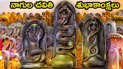 ఈ శ్లోకాలతో మీ బంధుమిత్రులకు నాగులచవితి శుభాకాంక్షలు తెలియజేయండి!