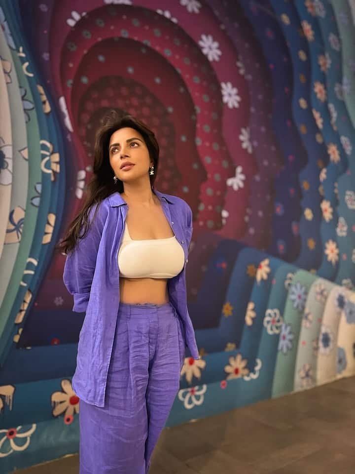 आज भी शमा अपने हॉट लुक और कर्वी फिगर से बड़ी-बड़ी अभिनेत्रियों को मात दे सकती हैं।