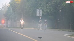 दिल्ली की दम घोंटू हवा से कब मिलेगी राहत? सरकार का नेक्स्ट स्टेप चौंकाएगा!