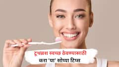 Health Tips : ब्रश करताना 'अशी' काळजी घ्या; जाणून घ्या 5 सोप्या टिप्स