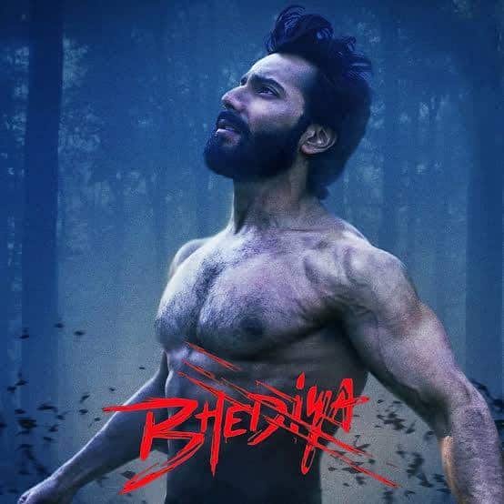 Varun Dhawan's film Bhediya Maddock, released in the year 2022, is the second film of the horror comedy universe, which is based on the story of a man turning into a wolf. This film entertained the audience by earning Rs 68.99 crore at the box office.