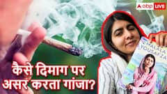 EXPLAINED: मलाला को गांजा फूंककर निबंध के जवाब मिले, इसे पीने से इश्क-माशूक क्यों याद आते, क्या वाकई दिमाग खुल जाता?