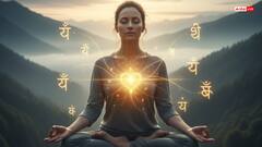 Swami Ram Bhadracharya: आप हनुमान चालीसा का प्रतिदिन करें पाठ, नहीं होंगे बीमार, जानें स्वामी रामभद्राचार्य जी के विचार