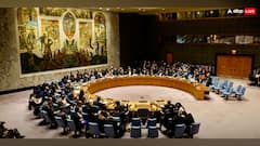 आतंकियों को फ्रीडम फाइटर बताने पर भड़का भारत, UN में पाकिस्तान की खूब लगाई लताड़, दोहरे रवैये की खोलकर रख दी पोल