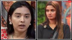 Bigg Boss 19: बिग बॉस हाउस में नई जंग नीलम से दूर हुई तान्या, अब किससे हाथ मिलाएगी तान्या?