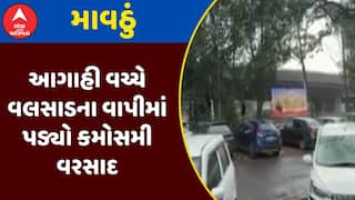 Vapi Rain : આગાહી વચ્ચે વલસાડના વાપીમાં પડ્યો કમોસમી વરસાદ, જુઓ અહેવાલ