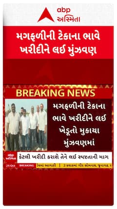 Gujarat Farmer : મગફળીની ટેકાના ભાવે ખરીદીને લઈ ખેડૂતો મુકાયા મુંઝવણમાં
