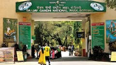 Mumbai Hit-And-Run: Toddler Mowed To Death By Speeding Bike Inside Borivali National Park