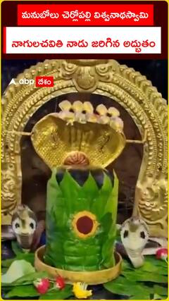 శివయ్య చుట్టూ నాగదేవతల సందడి
