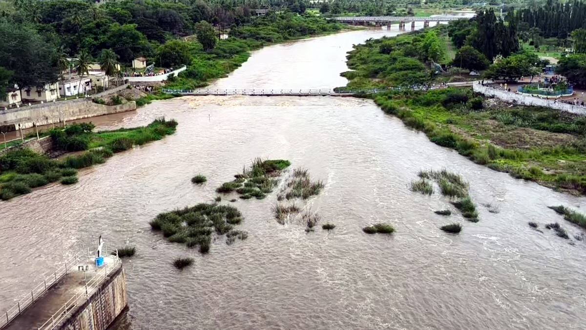 தேனி: கனமழை! கம்பம் பள்ளத்தாக்கில் வெள்ளப்பெருக்கு, விவசாயிகள் பாதிப்பு! சுருளி அருவியில் குளிக்க தடை!