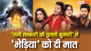 SSKTK Box Office Collection: ‘सनी संस्कारी की तुलसी कुमारी’ ने 'भेड़िया' को दी पटखनी, बनी वरुण धवन की कोविड के बाद दूसरी सबसे बड़ी फिल्म