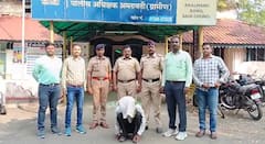 कृषी विभागाच्या लिपिकाच्या डोक्यात रॉड घालत निर्घृणपणे संपवलं; तपासात धक्कादायक कारण उघड; अमरावतीतील मोर्शी हादरलं!