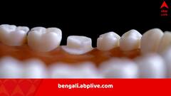 বড়বেলায় দাঁত গেলে নতুন গজাবে! ল্যাবে বায়োলজিক্যাল উপায় বের করছেন বিজ্ঞানীরা