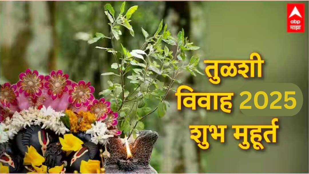 Tulsi Vivah 2025 : तुळशी विवाह म्हणजे काय? तुळशी विवाहानंतरच विवाहाचे शुभ मुहूर्त का? वाचा यामागची कथा आणि महत्त्व Tulsi Vivah 2025 Astrology Marathi Why is it auspicious time to get married only after Tulsi Vivah know story and importance behind Tulsi Vivah 2025 : तुळशी विवाह म्हणजे काय? तुळशी विवाहानंतरच विवाहाचे शुभ मुहूर्त का? वाचा यामागची कथा आणि महत्त्व