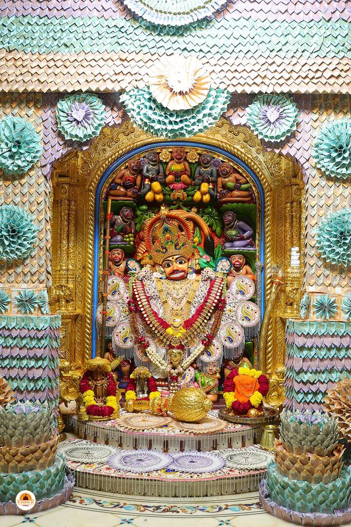 આ વિશેષ દર્શન અને આરતીનો લ્હાવો લેવા માટે પ.પૂ. શાસ્ત્રી સ્વામી હરિપ્રકાશદાસજી અને કોઠારી વિવેકસાગર સ્વામીની ઉપસ્થિતિમાં મોટી સંખ્યામાં ભક્તોએ દાદાના આશીર્વાદ પ્રાપ્ત કર્યા હતા.