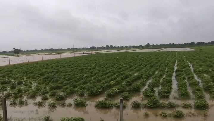 Gujarat Rain Update: રાજ્યમાં માવઠાની આગાહી વચ્ચે 23થી વધુ તાલુકામાં વરસ્યો વરસાદ Rain lashed more than 23 talukas amid forecast of heavy rain in the state Gujarat Rain Update: રાજ્યમાં માવઠાની આગાહી વચ્ચે 23થી વધુ તાલુકામાં વરસ્યો વરસાદ