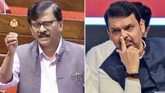 फडणवीसांकडून पोलिसांचा विरोधकांवर पाळत ठेवण्यासाठी नोकरासारखा वापर, गृहखात अजगरासारखं निपचित पडलंय, संजय राऊतांना सडकून प्रहार