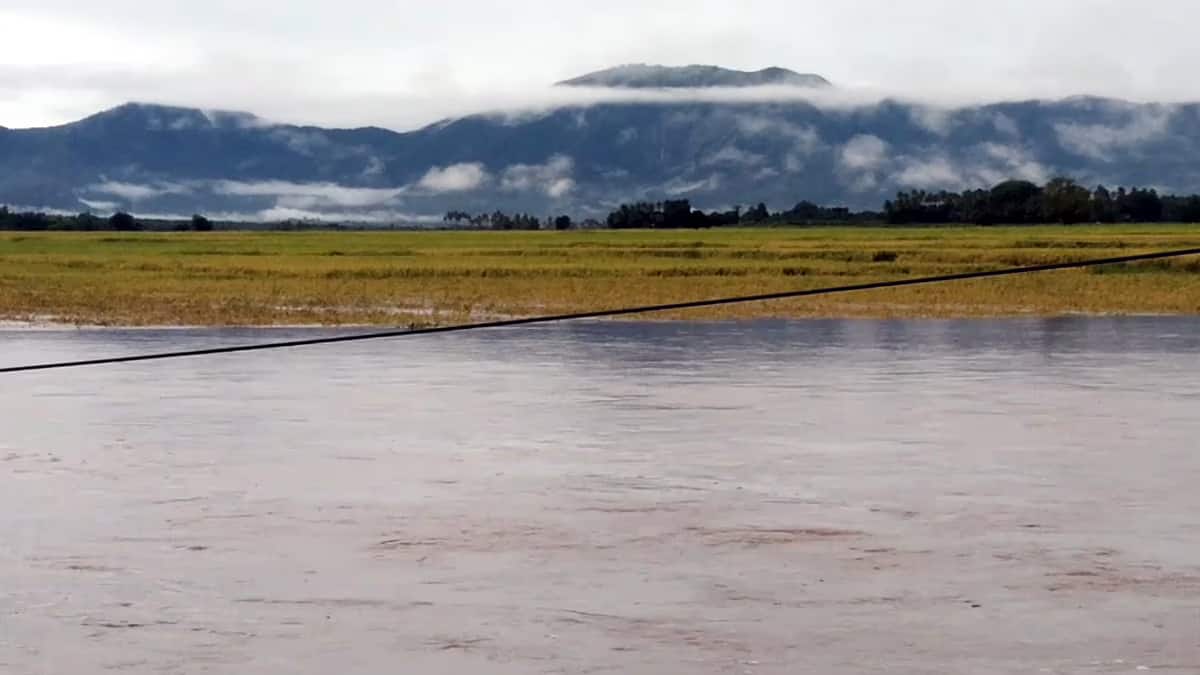 தேனி: கனமழை! கம்பம் பள்ளத்தாக்கில் வெள்ளப்பெருக்கு, விவசாயிகள் பாதிப்பு! சுருளி அருவியில் குளிக்க தடை!