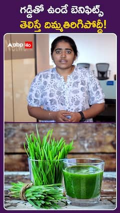 Wheat Grass: గడ్డితో ఉండే బెన్ఫిట్స్  తెలిస్తే దిమ్మతిరిగిపోద్ది