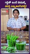 Wheat Grass: గడ్డితో ఉండే బెన్ఫిట్స్  తెలిస్తే దిమ్మతిరిగిపోద్ది