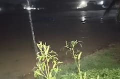 Sutrapada Rain: ગીર સોમનાથના સુત્રાપાડામાં પાણી-પાણી, અનેક ઘરોમાં પાણી ઘૂસ્યા, ખેડૂતોના પાકોને નુકસાનની ભીતિ