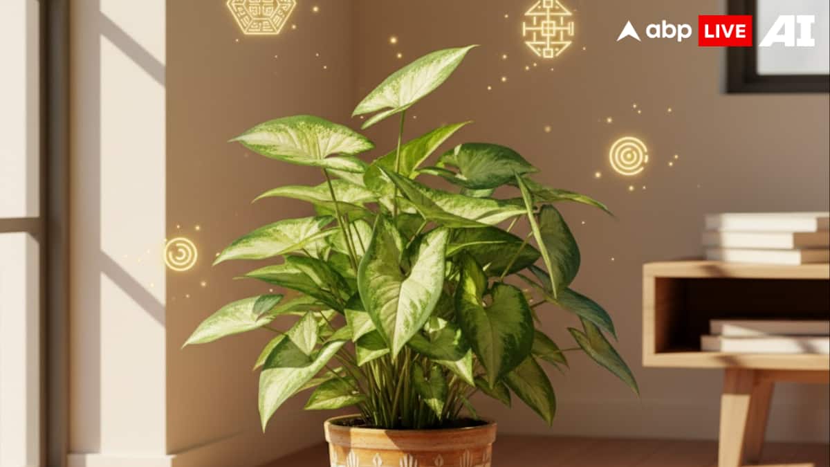 (Image Source: ABPLIVE AI)