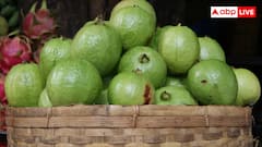 अमरूद करेगा शुगर लेवल को कंट्रोल, पिंक या वाइट जानें कौन सा है बेहतर