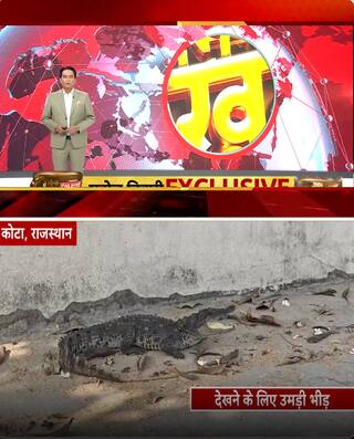 Rajasthan News: सड़क पर मगरमछ से मचा हड़कंप  | ABP NEWS SHORTS