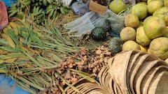 In Pics: दिल्ली में छठ महापर्व की रौनक, बांस के सूप, डाले, गन्ना, नारियल से पटे बाजार, देखें- तस्वीरें