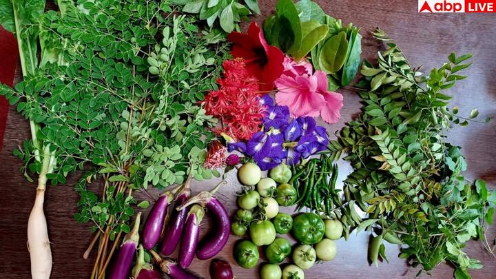 डायबिटीज या प्रीडायबिटीज वाले लोगों के लिए करी पत्ते किसी औषधि से कम नहीं. ये इंसुलिन की कार करने की क्षमता को बढ़ाते हैं और ब्लड शुगर लेवल को संतुलित रखने में मदद करते हैं. सुबह-सुबह इन्हें चबाने से पूरे दिन शुगर कंट्रोल में रहने की संभावना बढ़ जाती है.