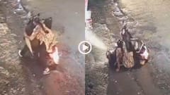 Video: गड्ढे या प्रशासन के मर्डर स्पॉट! बीच सड़क स्कूटी से गिरा कपल, बाल-बाल बची जान, वीडियो वायरल