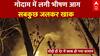 West Bengal News: गोदाम में लगी भीषण आग, सबकुछ जलकर खाक, देखिए वीडियो