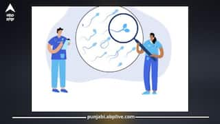 ਸਪਰਮ ਕਾਊਂਟ ਵਧਾਉਣ ਦੇ ਲਈ ਪੁਰਸ਼ ਨੂੰ ਕਿਹੜੀਆਂ ਚੀਜ਼ਾਂ ਦਾ ਕਰਨਾ ਚਾਹੀਦਾ ਸੇਵਨ, ਜਾਣੋ ਸਿਹਤ ਮਾਹਿਰ ਤੋਂ, ਮਿਲੇਗਾ ਫਾਇਦਾ