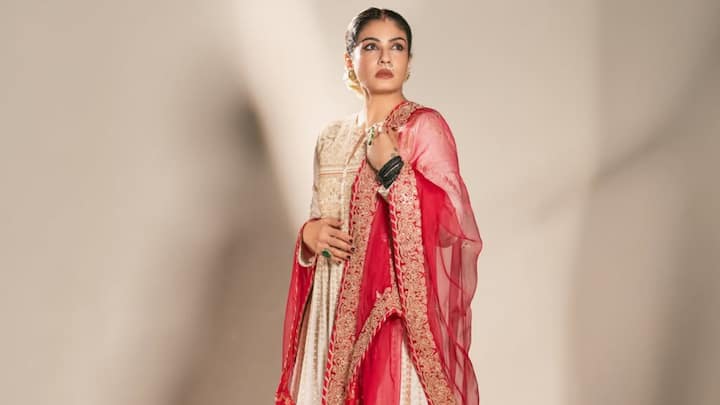 Raveena Tandon stuns in 8 exquisite ethnic looks, that showcases her timeless elegance, glamour, and flair for traditional attire.