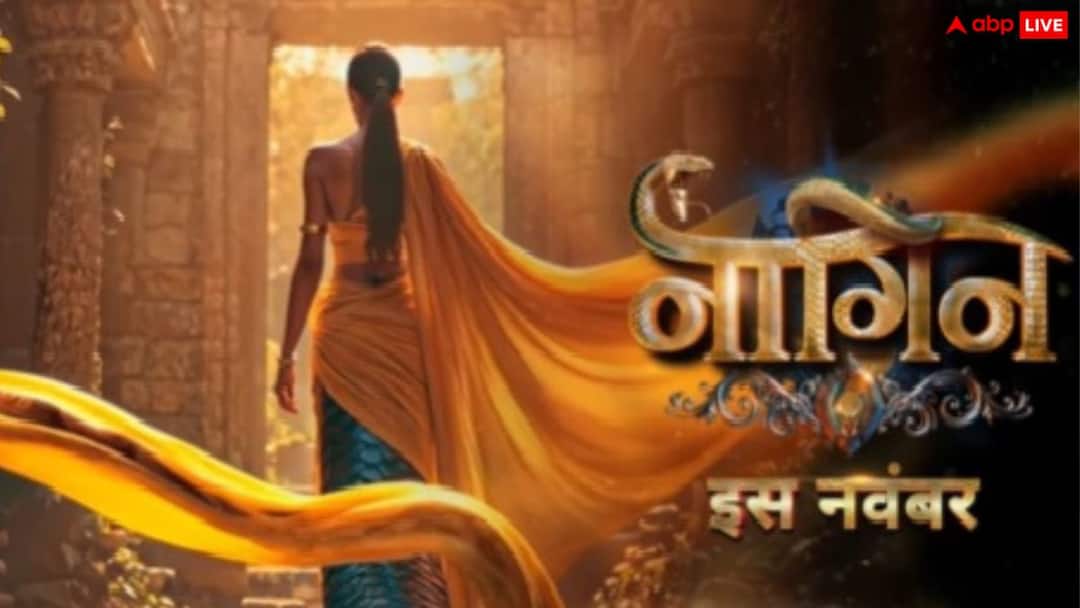 'नागिन 7' का नया प्रोमो आया सामने, दो एक्ट्रेसेज के फैंस के बीच छिड़ी जंग, सोशल मीडिया पर हो रही ऐसी चर्चा