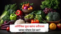 Organic Food : ऑर्गेनिक फूड खरंच हेल्दी असतं का? तज्ज्ञ सांगतात...