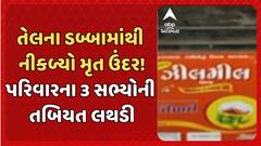 Junagadh News: જૂનાગઢમાં તેલના ડબ્બામાંથી મૃત ઉંદર નીકળ્યો હોવાનો આરોપ